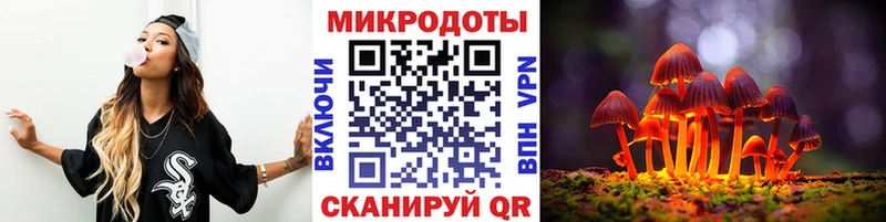Галлюциногенные грибы Psilocybe  где продают   Кондопога 
