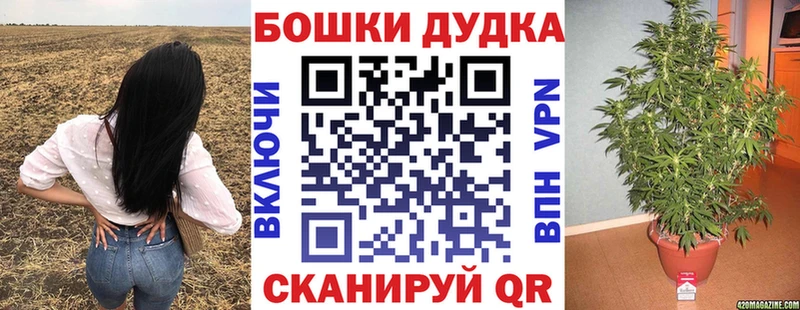 купить Кондопога Конопля сатива