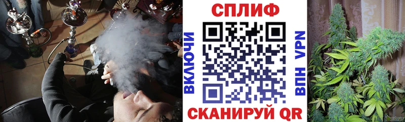 Бошки марихуана сатива Кондопога